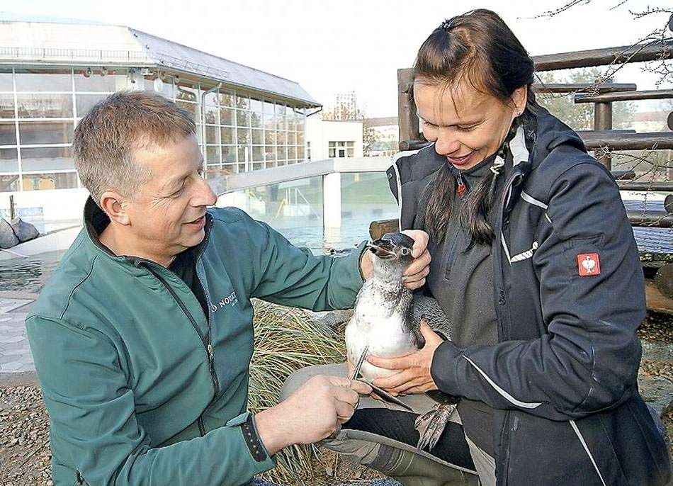 Behandlung von Kleintieren in der Tierarztpraxis Paulenz / Kloß in Lübbenau