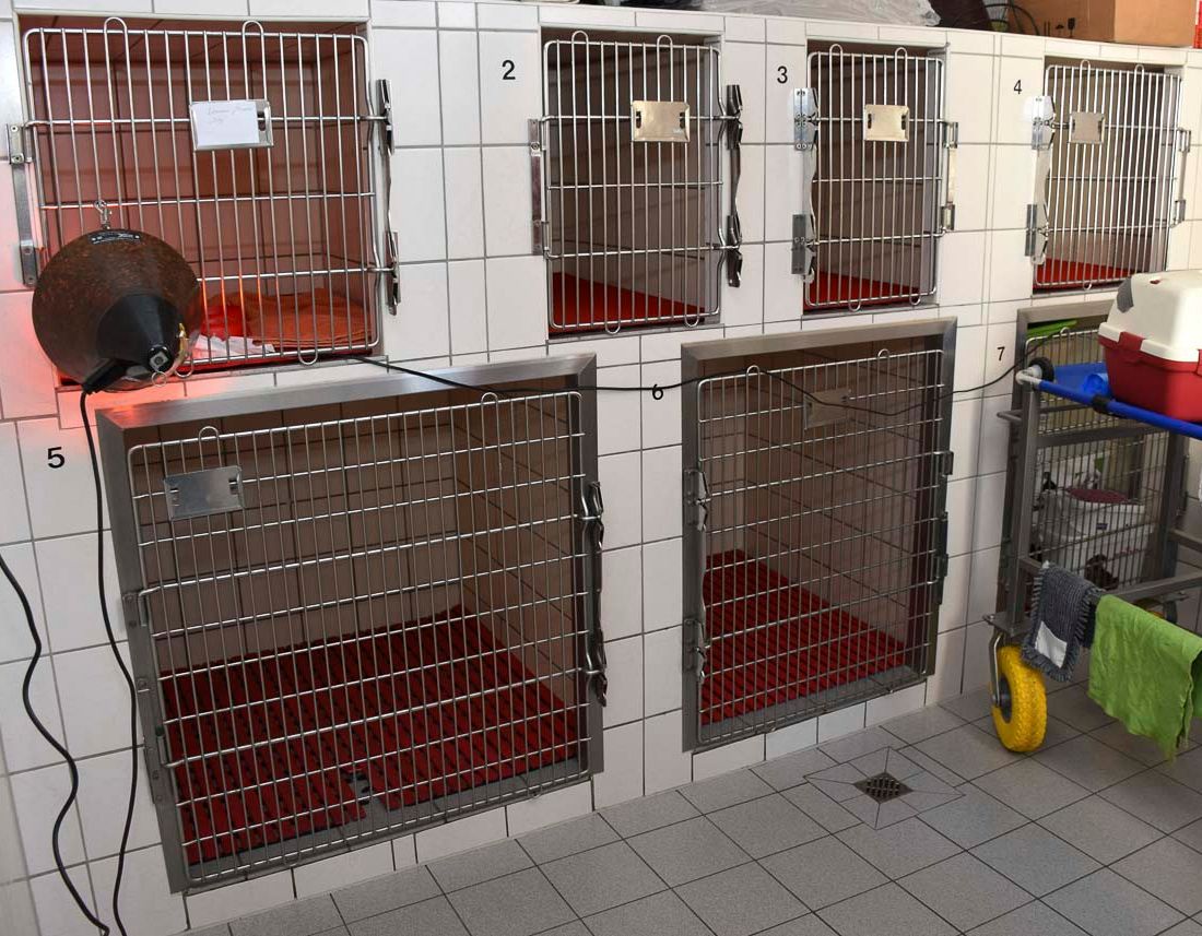 Praxis der Tierarztpraxis Paulenz / Kloß in Lübbenau