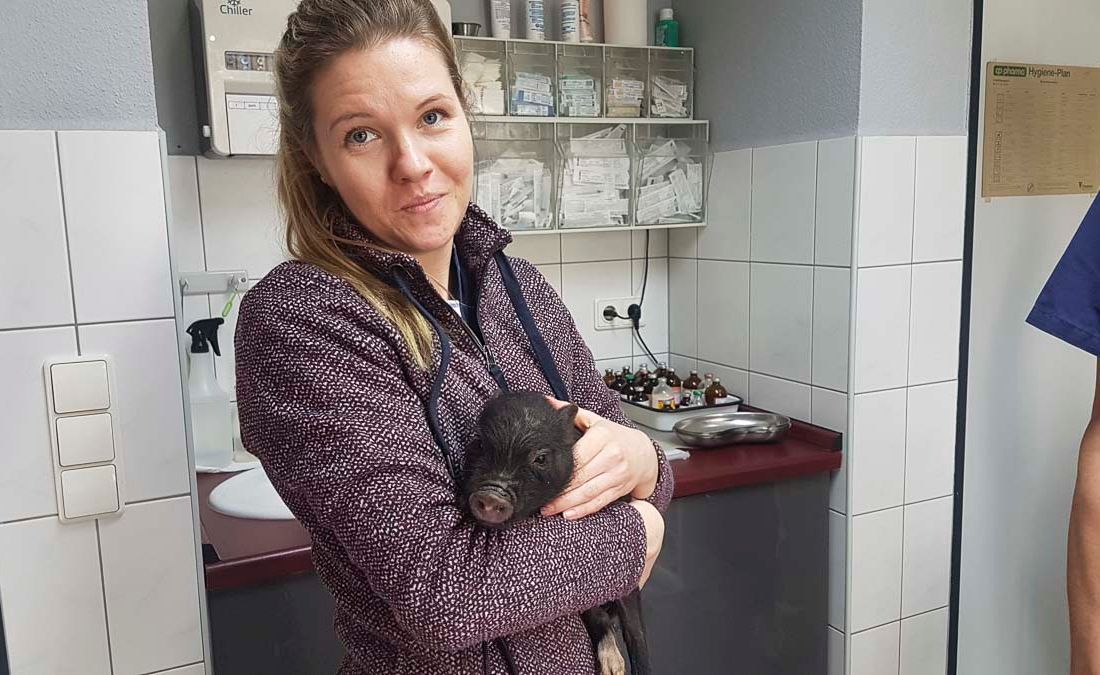 Praxis der Tierarztpraxis Paulenz / Kloß in Lübbenau