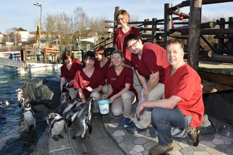 Patienten - Pinguine - der Tierarztpraxis Paulenz / Kloß in Lübbenau